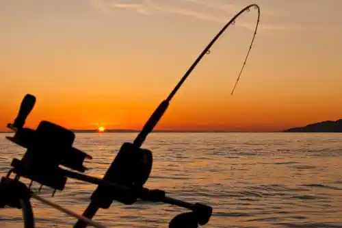 Actividades de Pesca en Puerto Iguazú por el río Iguazú y Paraná